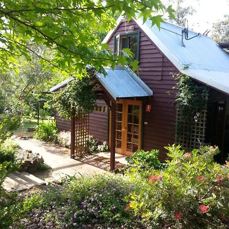 Maison d'hôtes Redgum Hill Country Retreat à Balingup Extérieur photo