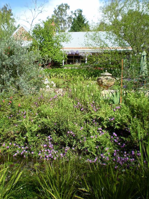 Maison d'hôtes Redgum Hill Country Retreat à Balingup Chambre photo