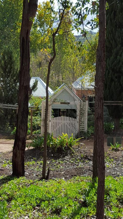 Maison d'hôtes Redgum Hill Country Retreat à Balingup Extérieur photo