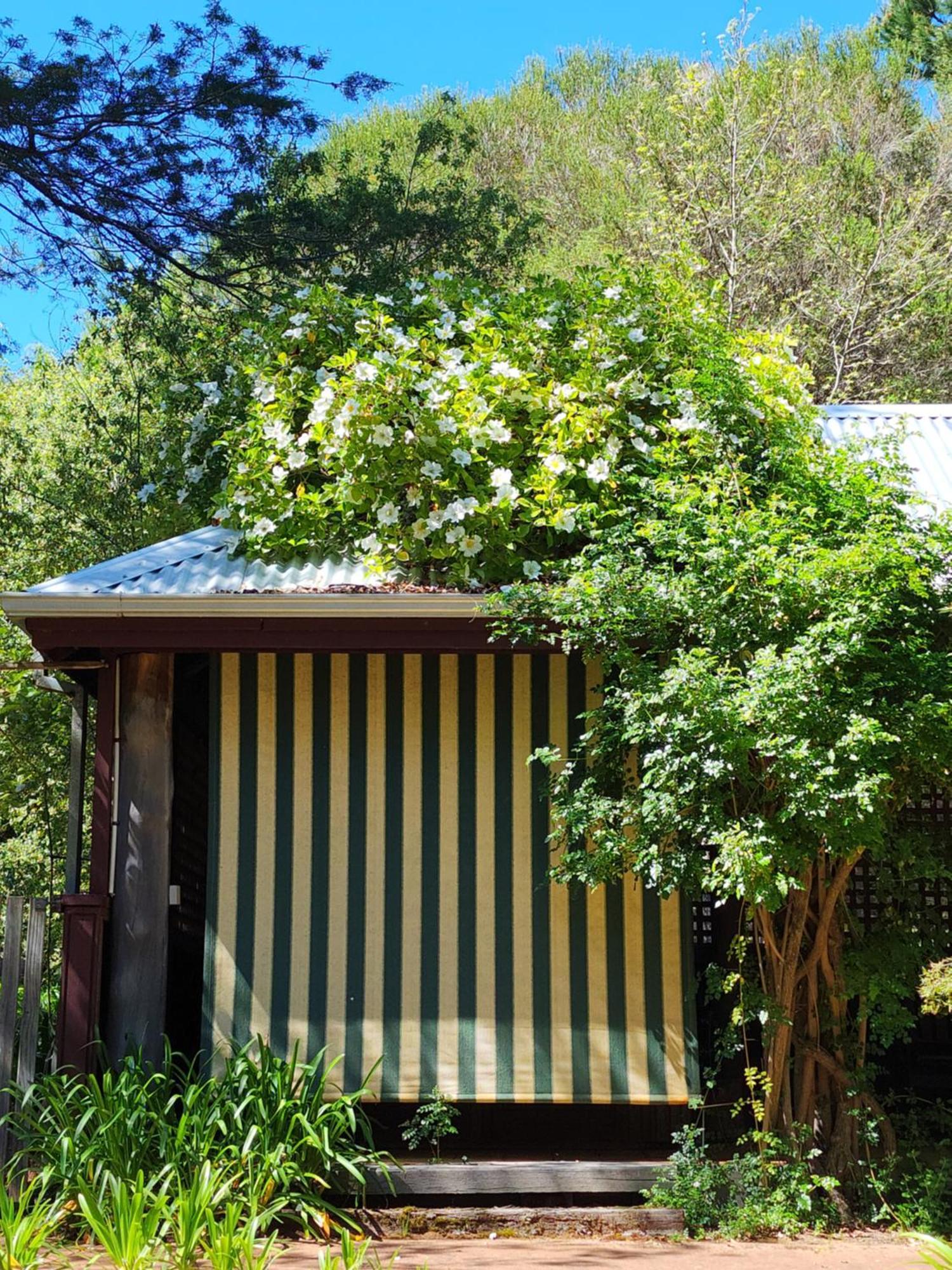 Maison d'hôtes Redgum Hill Country Retreat à Balingup Extérieur photo