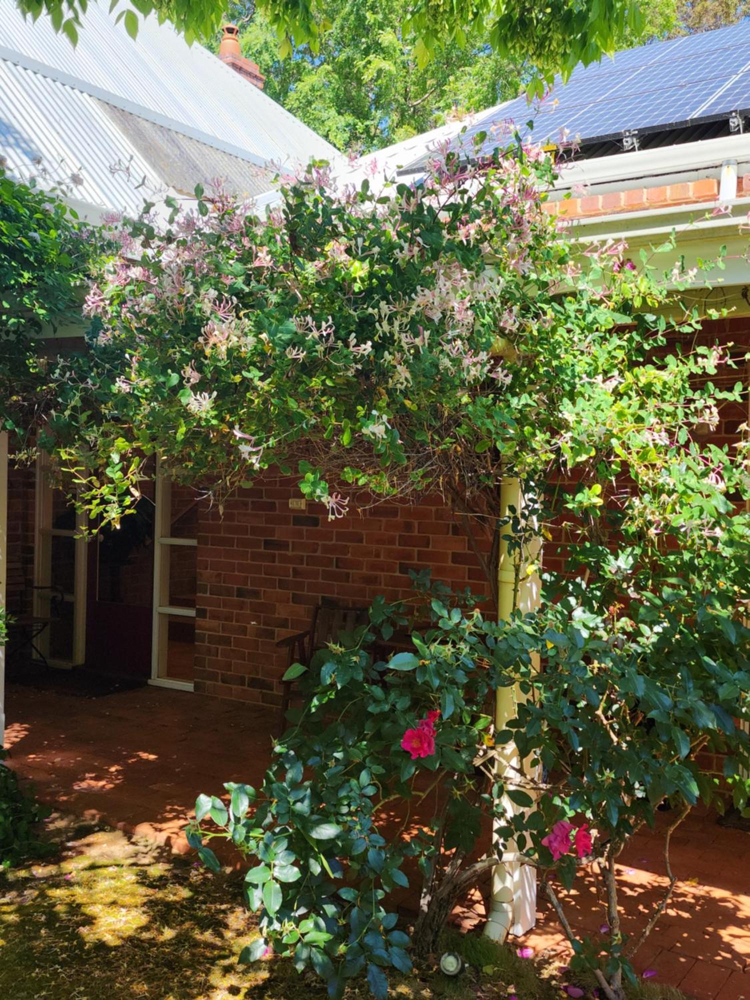 Maison d'hôtes Redgum Hill Country Retreat à Balingup Extérieur photo