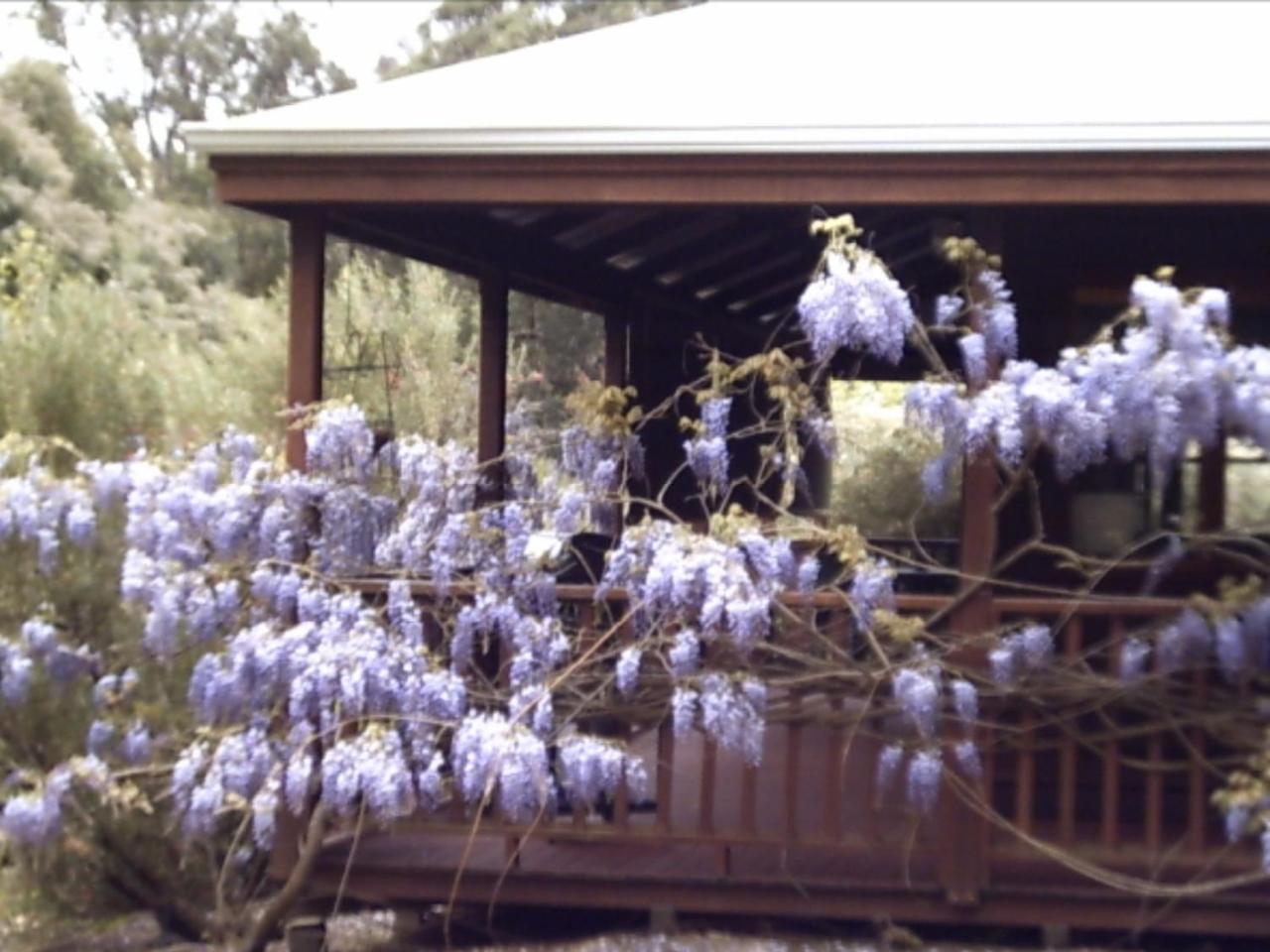 Maison d'hôtes Redgum Hill Country Retreat à Balingup Extérieur photo